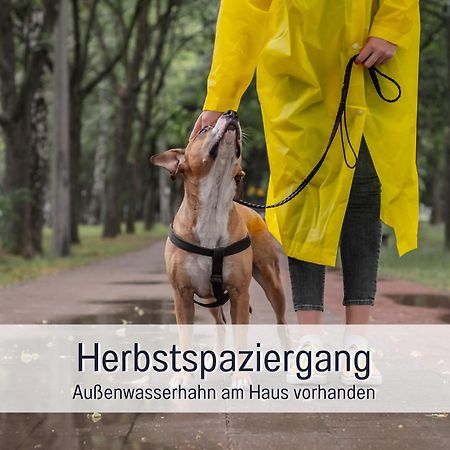 Ferienloft Sternenblick: Beachside Pet-Friendly Retreat with Workation Amenities Steinberg  Exterior photo