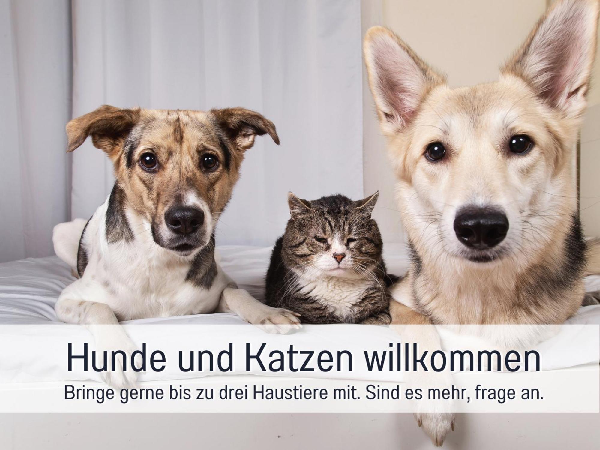 Ferienloft Sternenblick: Beachside Pet-Friendly Retreat with Workation Amenities Steinberg  Exterior photo