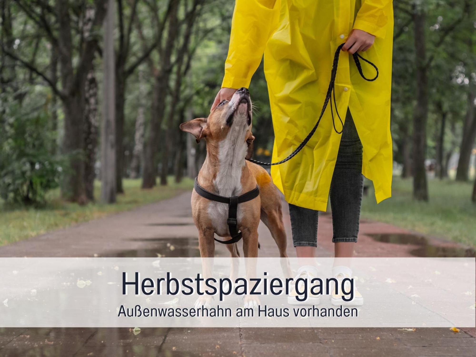 Ferienloft Sternenblick: Beachside Pet-Friendly Retreat with Workation Amenities Steinberg  Exterior photo